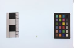Foto von Diamant (NHMW-MIN-Aa2969)